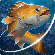 Fishing Hook Mod APK 2.6.5 (Unlimited money, gems)
